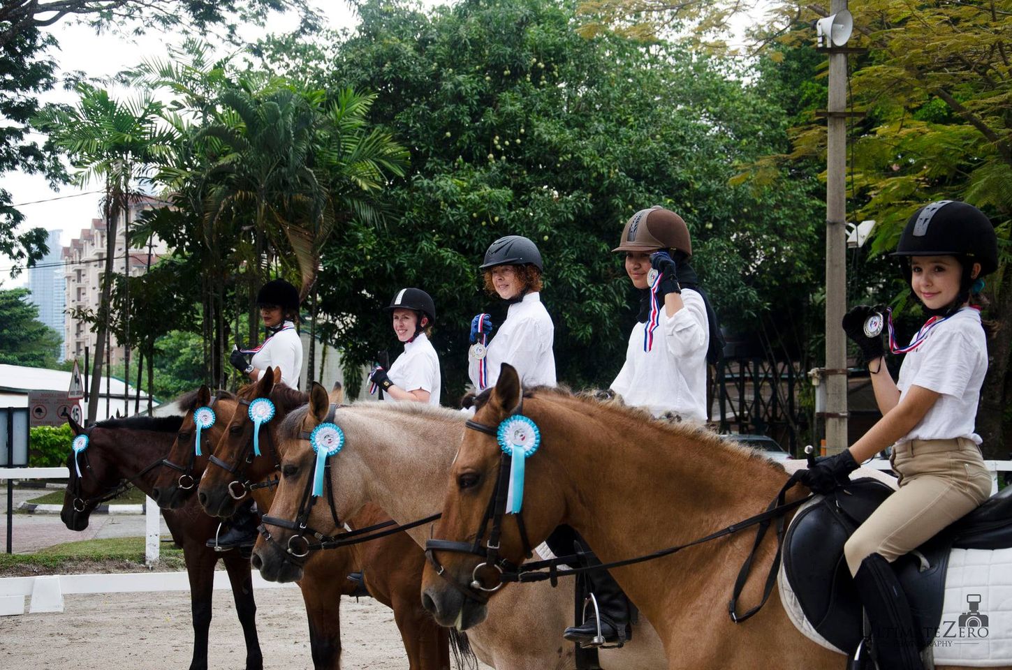 Horse Training Programs