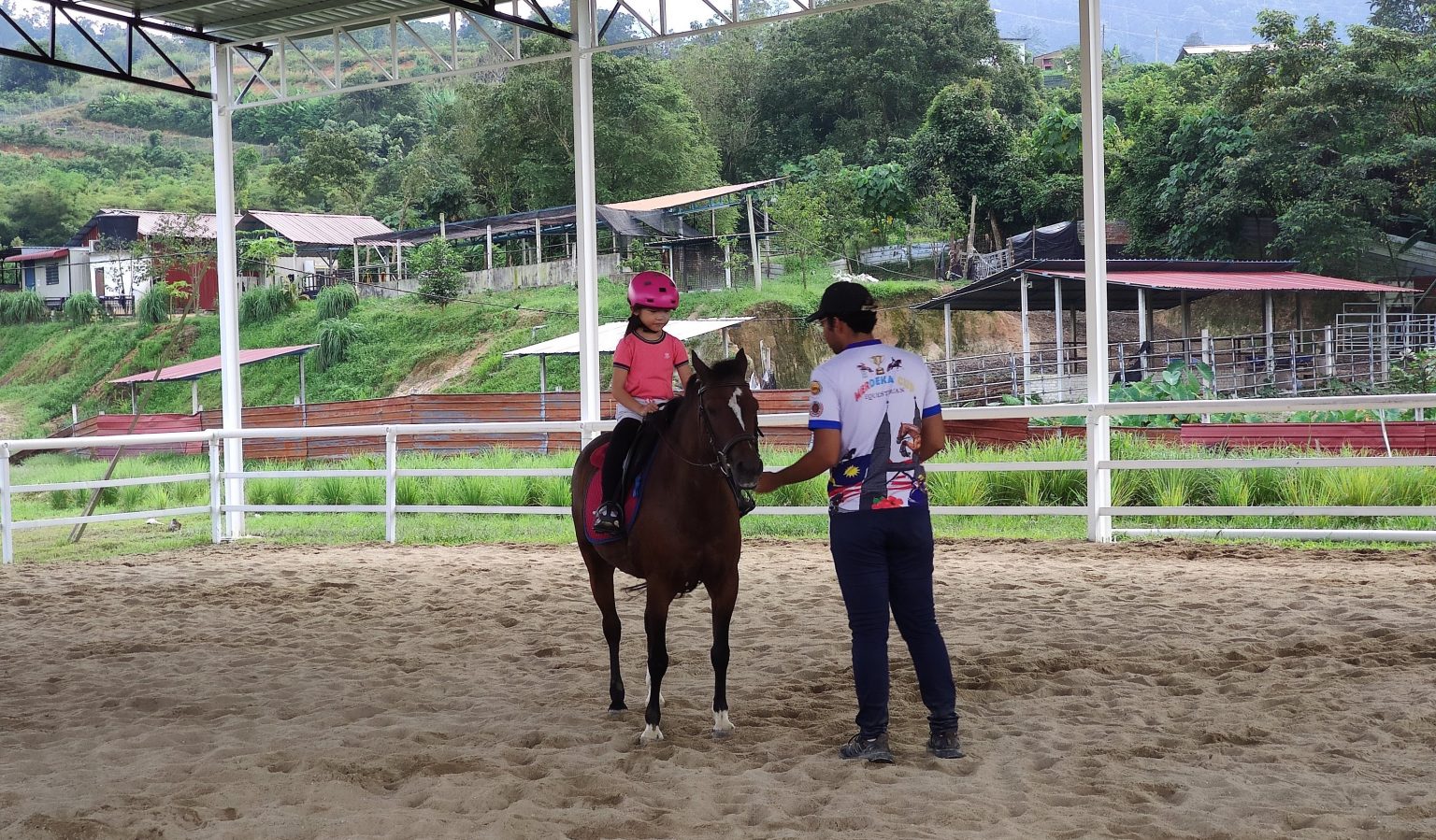 Horse Riding Classes